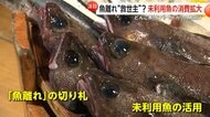 「知られていないだけでおいしい」ヤドカリにどんこ…未利用魚の消費拡大で魚離れの“救世主”に「へんな魚ボックス」も人気