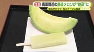廃棄間近の高級メロンが“絶品”和スイーツに　入荷してから3～4日で食べ頃迎える悩みを地元企業が解決