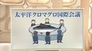 3分でわかるキーワード なぜ? 「クロマグロの漁獲枠」