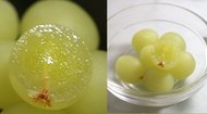 断面のみずみずしさはどう見ても本物…粘土で作られた“マスカット”がすごい
