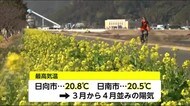 季節外れの暖かさ 堤防彩る菜の花 宮崎県