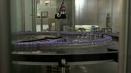 ワクチン国内生産強化へ 流行時に生産義務付ける補助金制度を検討 2024年頃から