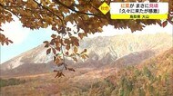絶景パノラマを堪能!紅葉見ごろに感激…秋晴れに映えるコントラスト 鳥取県の大山に多くの観光客