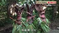 神が訪れる島　鹿児島・悪石島がユネスコの無形文化遺産の「ボゼ」に沸く 震度6弱の地震で、一時半数以上の島民が島外避難も、祭りで島民が一つに 【鹿児島発】