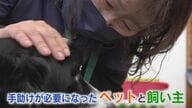 飼い主もペットも避けられぬ“老い”　どう介護？　それぞれに寄り添うペットシッターに密着【福岡発】