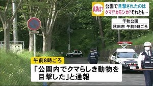 秋田市中心市街地の公園にクマが出没!?公園封鎖で一時騒然…