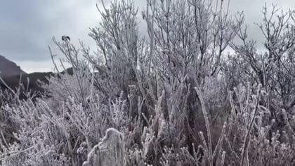 お山・雲仙では「霧氷」も… 各地で真冬並みの寒さ続く 14地点で今シーズン一番の寒さ記録