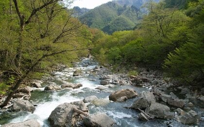 ネイチャーポジティブ実現に向けた、生物多様性を客観的に評価する6つの手法を策定