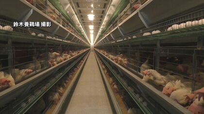 卵の価格高騰「昔は98円、今はそんな値段で買えない」“鳥