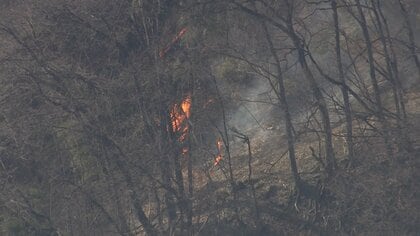 群馬山火事が発生4日目でほぼ消し止められる…空き家全焼など約53ヘクタール焼損もけが人なし　鎮火に向け引き続き消火活動