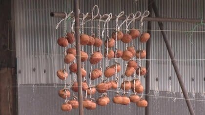 高齢女性2人が相次ぎクマに襲撃　富山で75歳女性頭かまれ搬送　秋田で85歳女性背後から襲撃、自衛隊の派遣要請へ