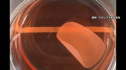 iPS細胞使った心筋シート「リハート」9月1日から保険適用へ　重度の心不全治療に使用