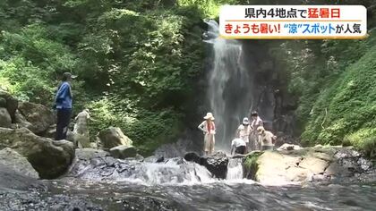 うだるような暑さから気温25度の“別世界”へ　滝のミストや木々の間を吹き抜ける風…癒やしの涼スポット福井市「一乗滝」