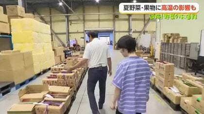 地場野菜が一気に増えて市場ではセリが30分早まる　旬の県産トウモロコシで作る「甘じょっぱい夏ご飯」