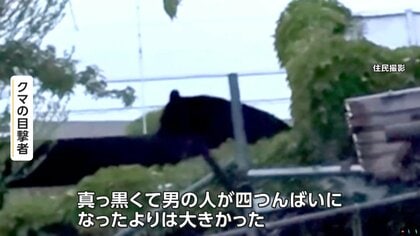 くわえて食べたみたい」飼い猫襲うクマ 屋根の上に6時間半居座り