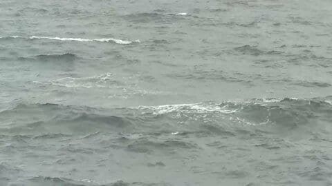 9歳男児が海に転落、意識不明の重体　救助に入った20代男性とみられる遺体発見　家族らと釣りに　兵庫・淡路市