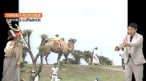 酷暑日が常態化？ラクダに乗ったあの日から現代、衝撃の2100年へ「昭和の日」に考える温暖化