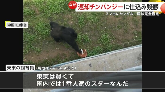 飼育員が東東についてコメント(中国SNSより)