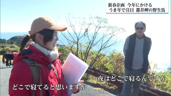 観光客に都井岬の魅力を語る世良田さん