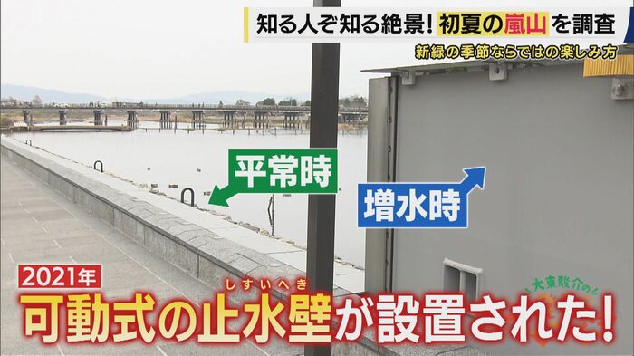 可動式の止水壁