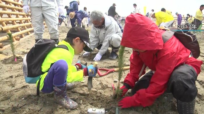 2017年、県内外から集まったボランティアが植樹に参加