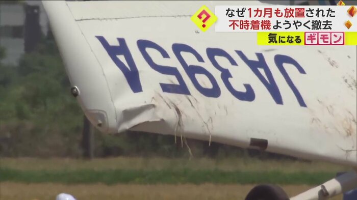 至るところがへこんでいる翼