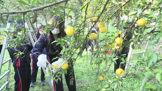 ブランド復活に高校生やパティシエが立ち上がる