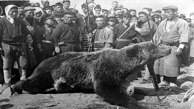 利尻島アフトロマナイで殺獲されたヒグマ(明治45年、寺島豊次郎撮影、利尻富士教育委員会所蔵)