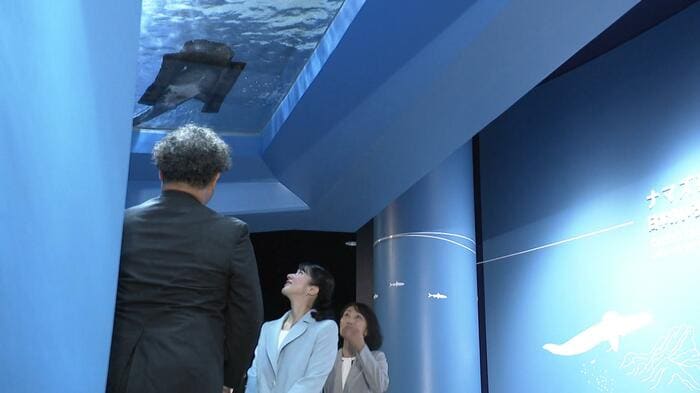 ビワコオオナマズの水槽を下からご覧になる愛子さま