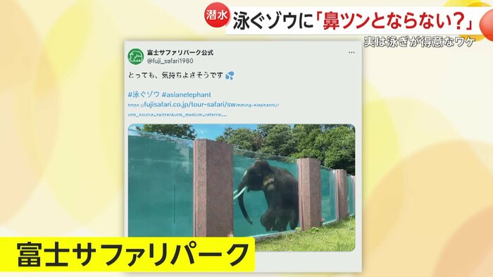 富士サファリパークが投稿したSNS
