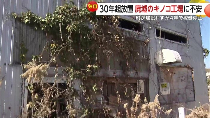 周りには木が生い茂っていて、建物の壁にもツタが茂っている