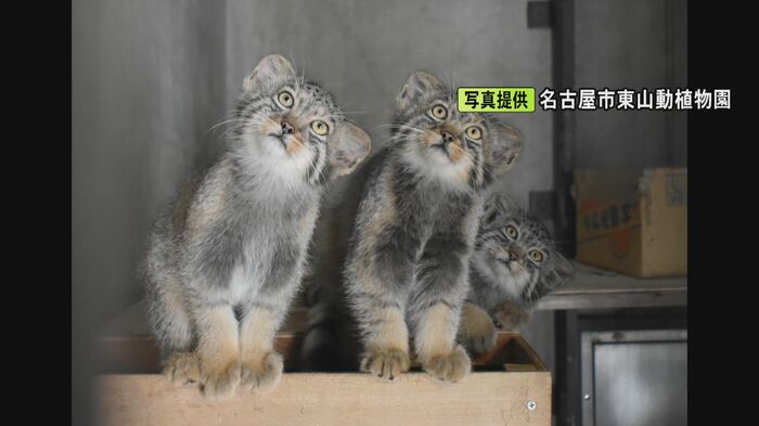 ニュースONE