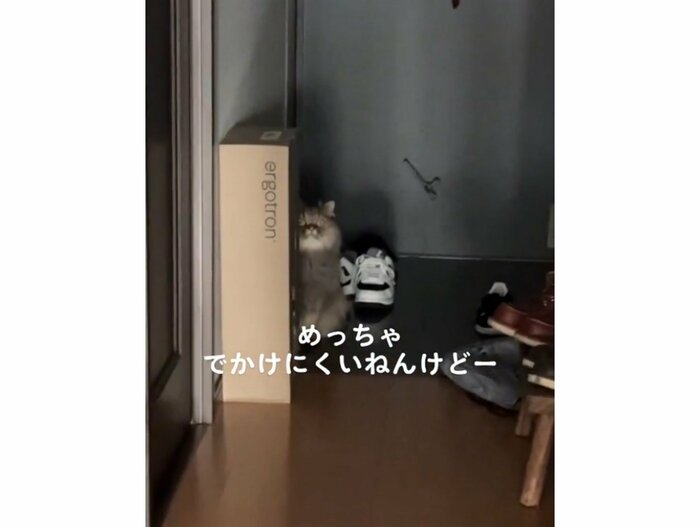 提供:ひなたさん