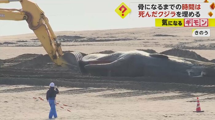 発見場所から100mほど内陸に移動(2月7日)