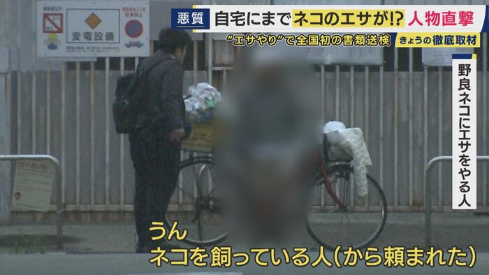 野良猫にエサをやる人