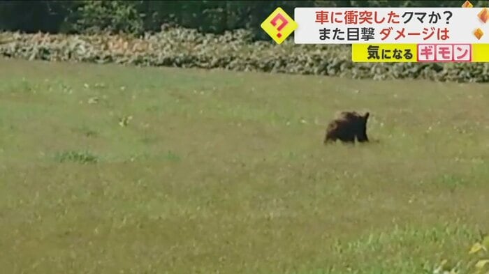 (オホーツク中央森林組合)