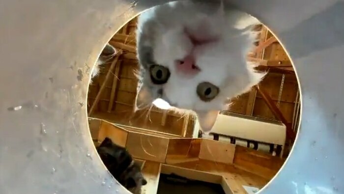 カメラをじっと見つめる顔もかわいい