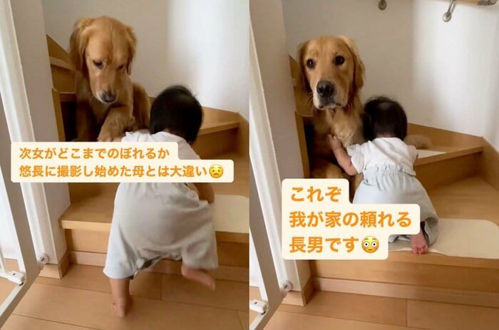 駆けつけてくれた頼れるラジャーくん(提供:@_golden_rajahさん)