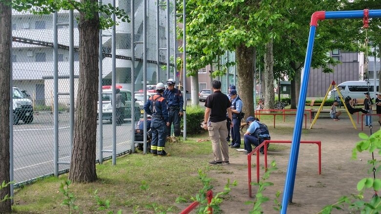 【不審火】『木の根っこが燃えている』夏休み中の公園で火の気のない木の切り株から出火…付近住民がバケツの水で消し止める－ケガ人なし<北海道札幌市白石区>｜FNNプライムオンライン