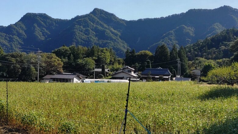 展望の穴場「京ヶ倉」　下山中に名古屋市の51歳の女性が転倒　自ら消防に救助を要請　足首を骨折の模様｜FNNプライムオンライン