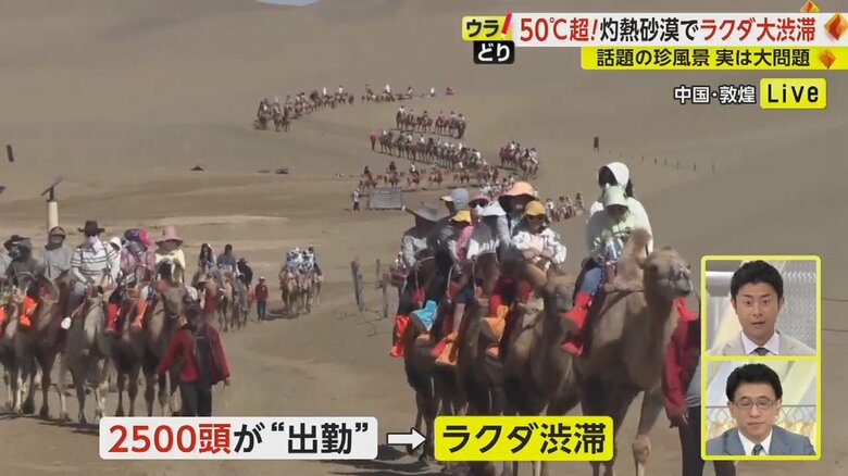 灼熱の砂漠で“ラクダ渋滞”　3つの「すぎる」でラクダが突然のストライキ…”待遇改善”されず緊張状態続く【中国・敦煌】｜FNNプライムオンライン