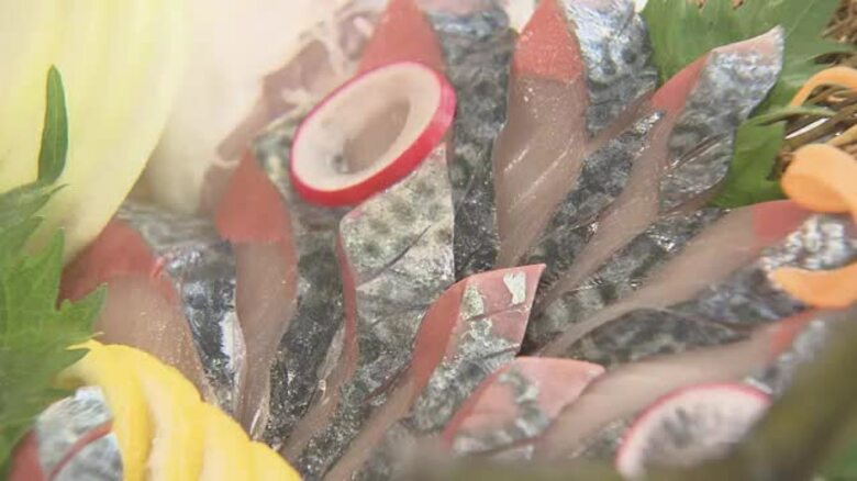 「こんなに美味とは」愛媛の完全養殖「マサバ」松山で観光業対象に試食会　仕入れなど検討【愛媛】｜FNNプライムオンライン