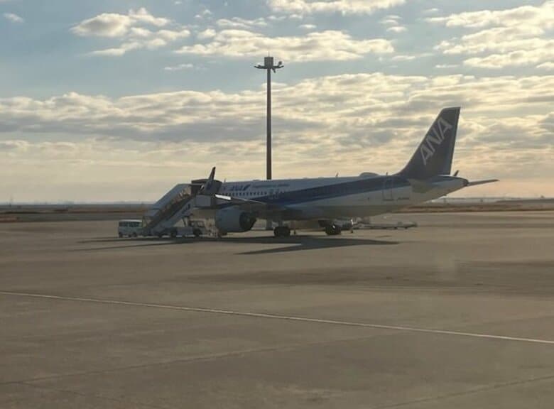 【速報】高松空港のANA羽田線４便欠航　エアバス機整備作業の影響　四国の空港に欠航便　２９日【香川】｜FNNプライムオンライン