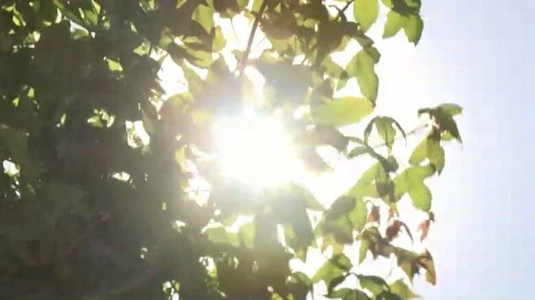 30日も危険な暑さに　久留米市で最高気温39℃予想　福岡県内に「熱中症警戒アラート」　適切なエアコン使用や水分補給呼びかけ｜FNNプライムオンライン