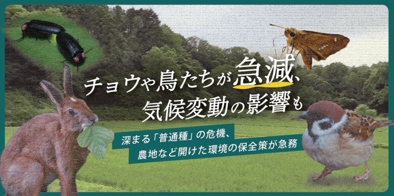 モニタリングサイト1000里地調査2005-2022年度 とりまとめ報告書 「チョウや鳥たちが急減、気候変動の影響も」