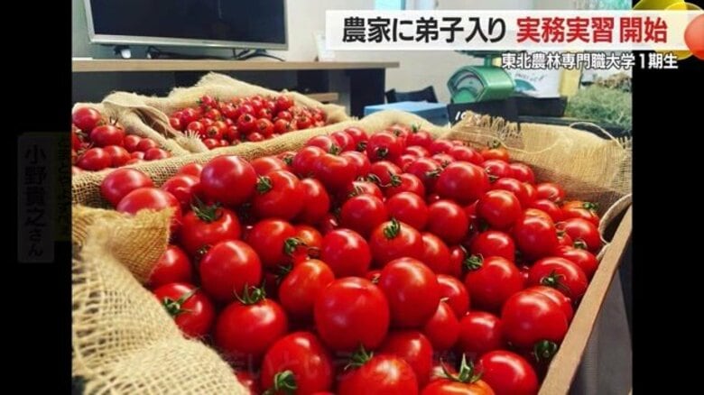 「農家のたまご」が「農家のプロ」に弟子入り　東北農林専門職大学1期生が技術や知識・経営哲学を3年かけて学ぶ【山形発】｜FNNプライムオンライン