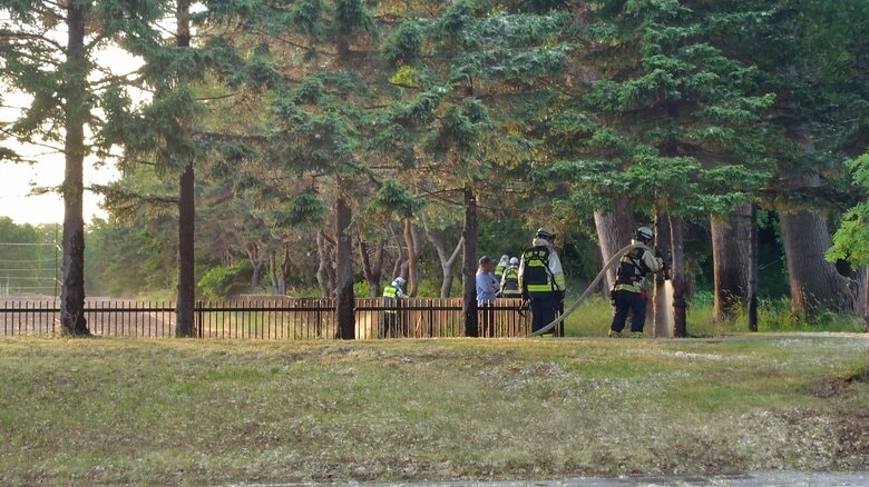 「ポプラの綿にライターを落とした」札幌市手稲区で”ポプラの綿毛”が原因の火事…前日には南区の公園でも”ポプラの綿毛”が可能性の火事｜FNNプライムオンライン