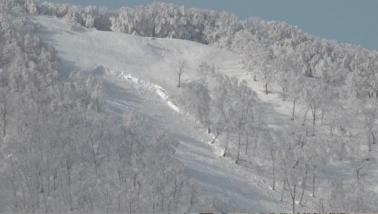 スキー場で「全層雪崩」が発生　規模は最大幅185メートル長さ600メートル　10～40代の男女4人が大けが　非圧雪の上級者コース　気温上昇と雨が原因か　亀裂などの前兆は確認されず｜FNNプライムオンライン