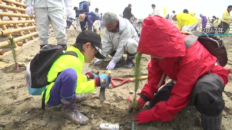 2017年、県内外から集まったボランティアが植樹に参加
