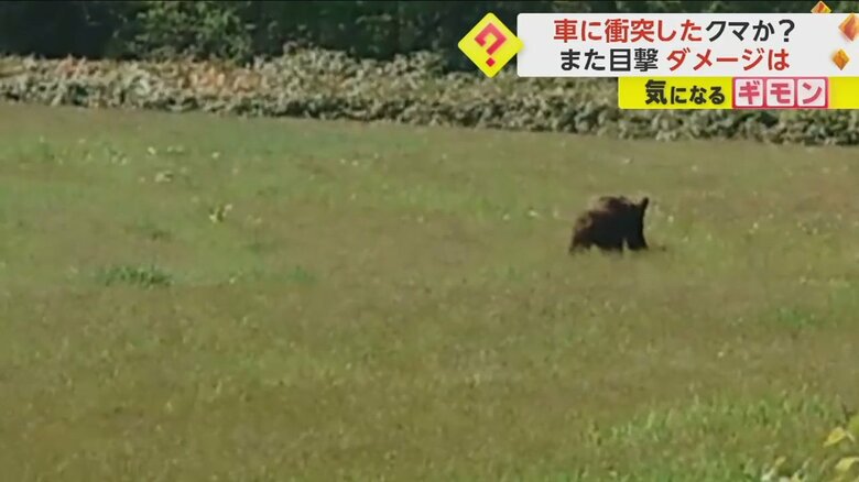 (オホーツク中央森林組合)
